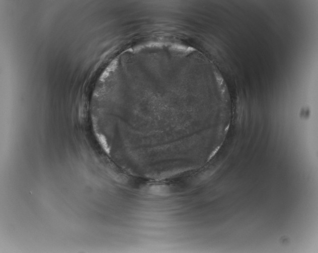 X0000112880228200909181856