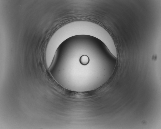 X0000112880229200909181856