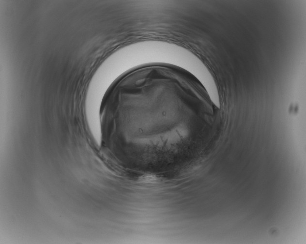 X0000112880231200909181855