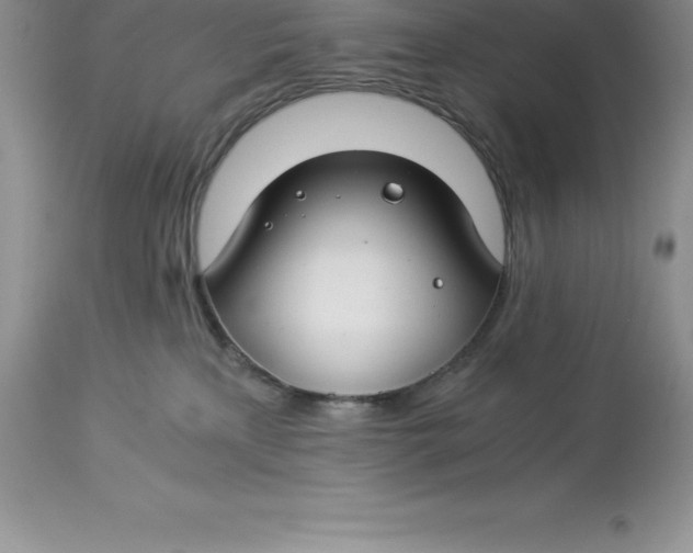 X0000112880233200909181855