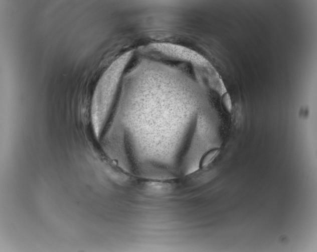 X0000112880234200909181855