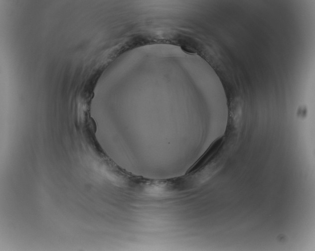 X0000112880235200909181855