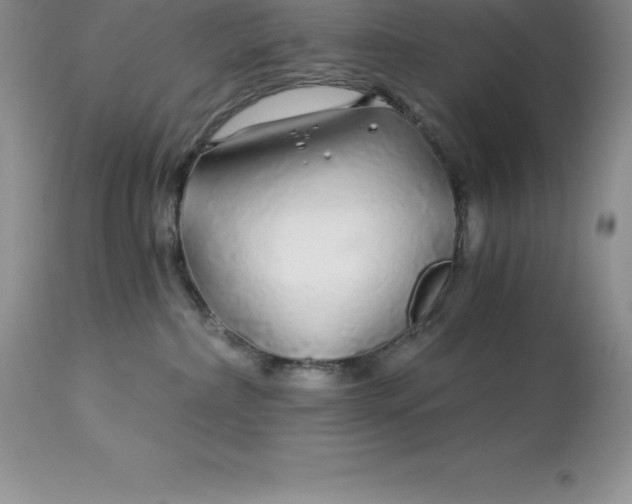 X0000112880236200909181855