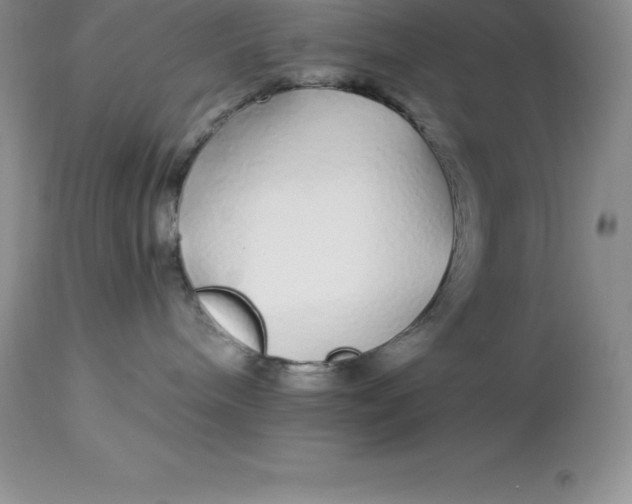 X0000112880240200909181855