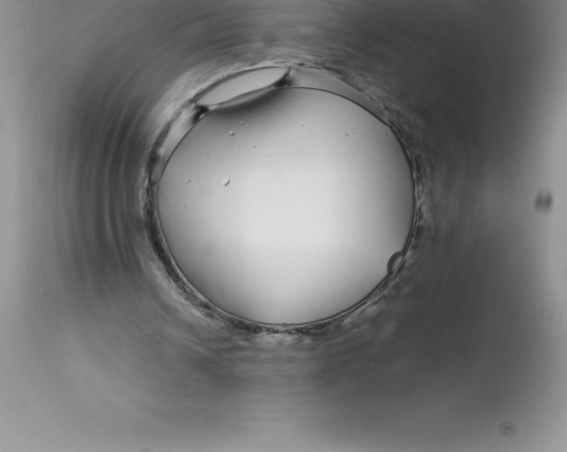 X0000112880242200909181855