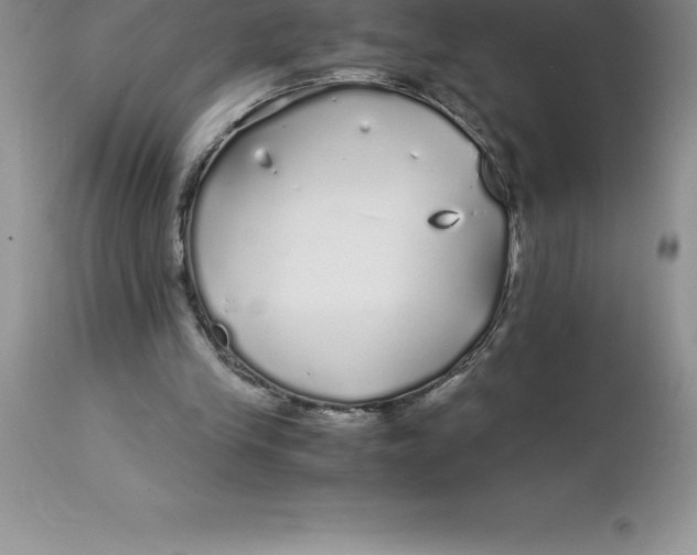 X0000112880245200909181855