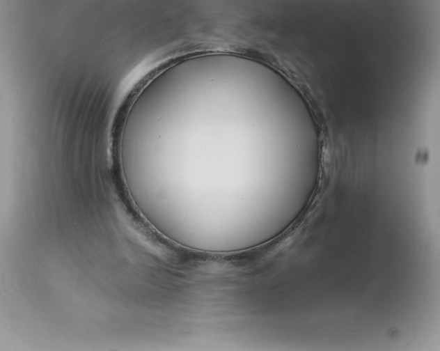 X0000112880246200909181855