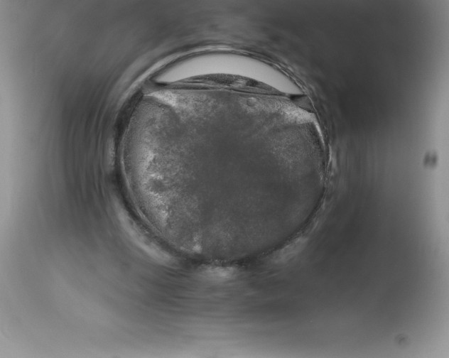 X0000112880247200909181855