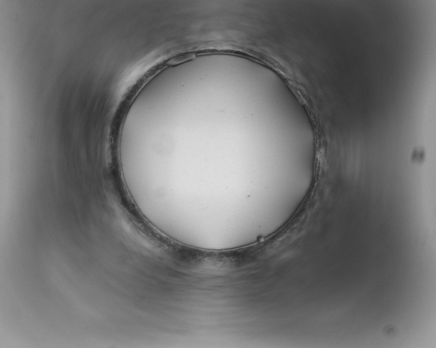 X0000112880248200909181855