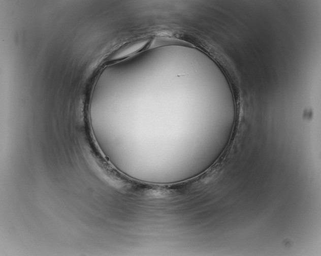 X0000112880250200909181855