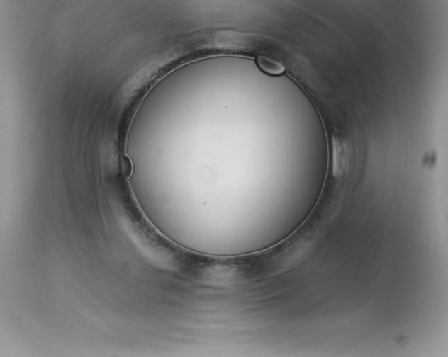 X0000112880252200909181855