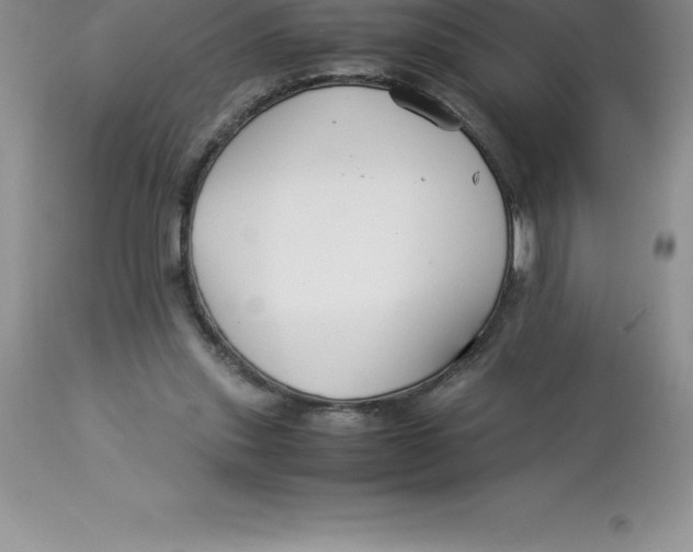 X0000112880253200909181855