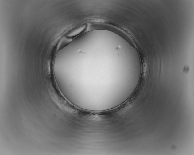 X0000112880254200909181855