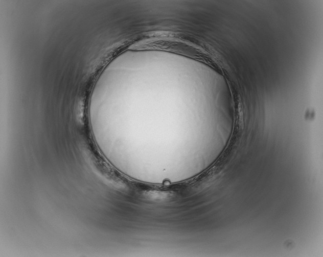 X0000112880255200909181855