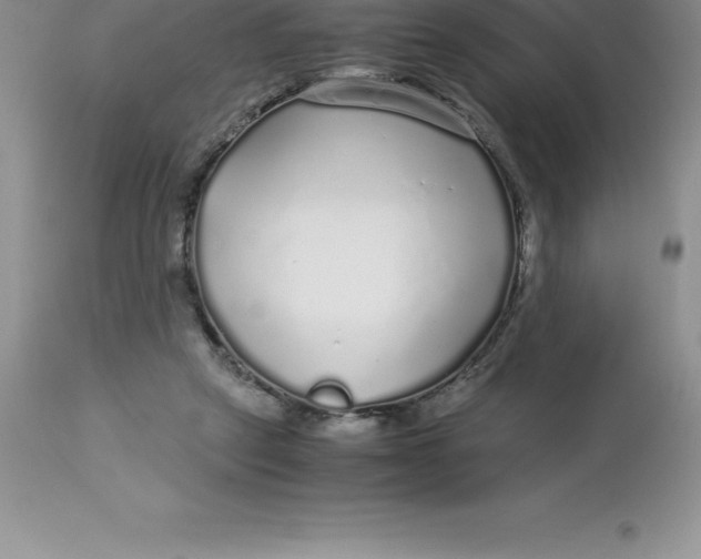 X0000112880257200909181855