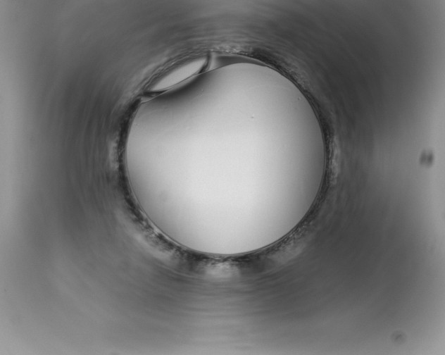 X0000112880258200909181855