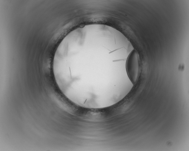X0000112880260200909181855