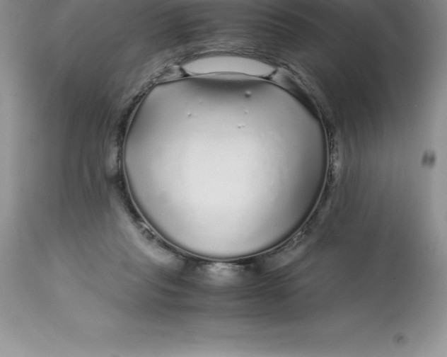 X0000112880261200909181855