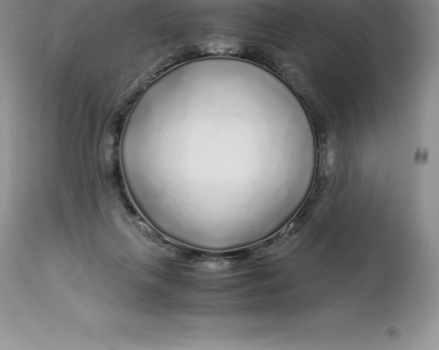 X0000112880263200909181855