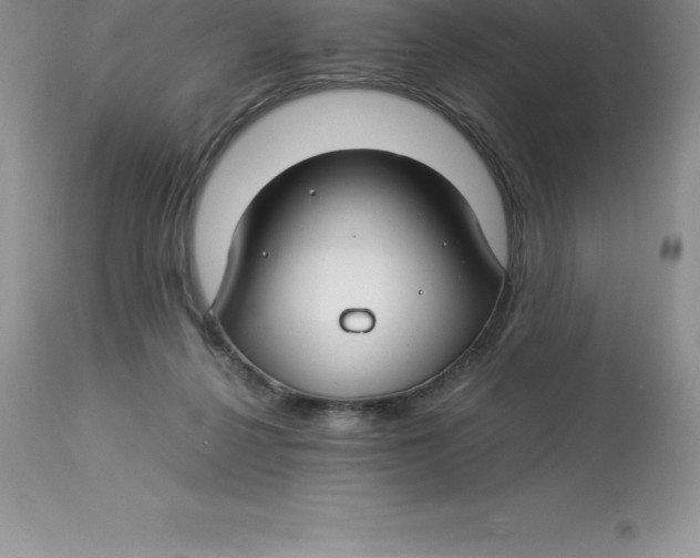 X0000112880264200909181855