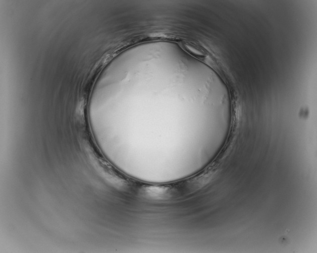 X0000112880265200909181855