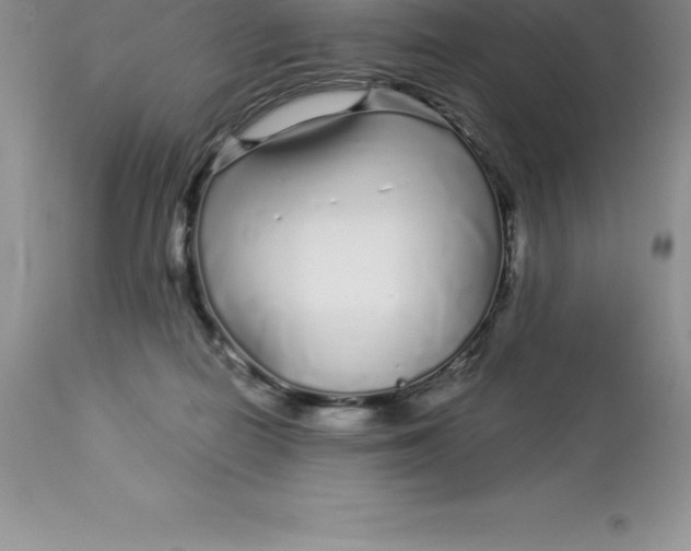 X0000112880266200909181855