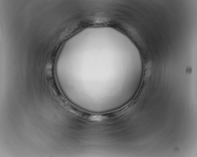 X0000112880269200909181855