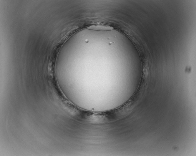 X0000112880270200909181855