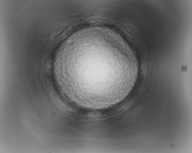 X0000112880271200909181855