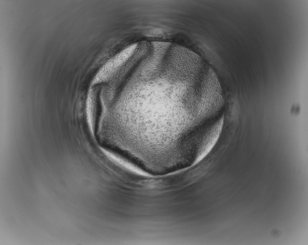 X0000112880273200909181855