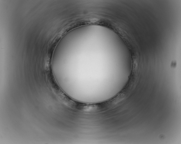 X0000112880274200909181855