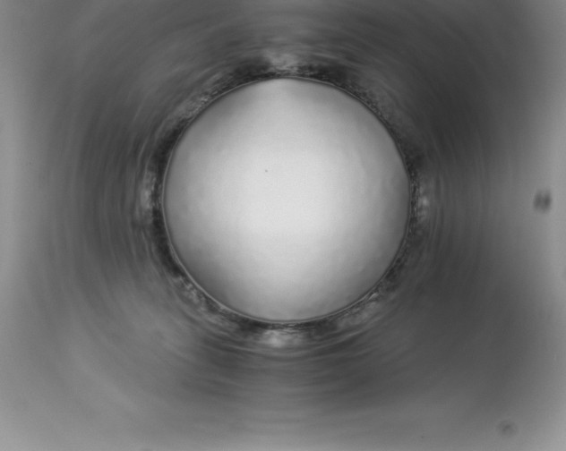 X0000112880275200909181855