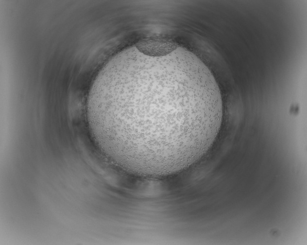 X0000112880276200909181855