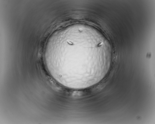 X0000112880277200909181855