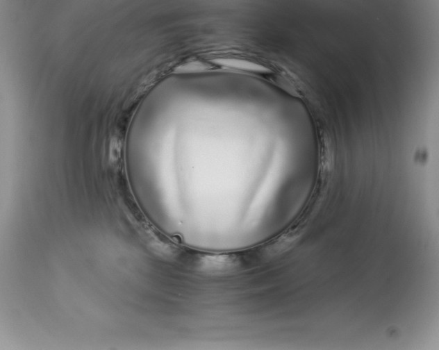 X0000112880281200909181855