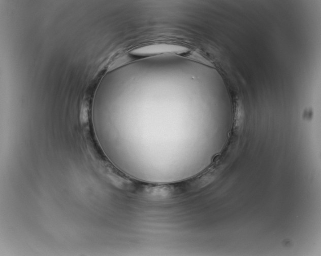 X0000112880282200909181855