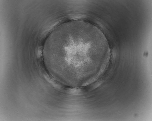 X0000112880284200909181855