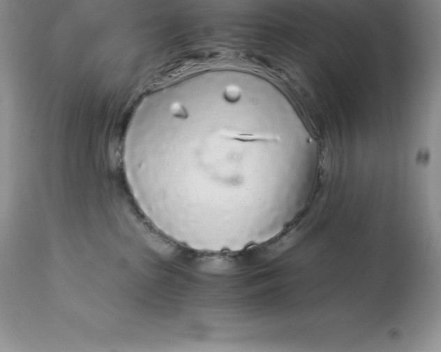 X0000112880285200909181855