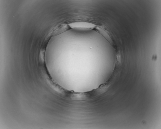 X0000112880286200909181855