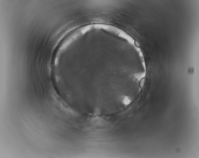 X0000112880290200909181855