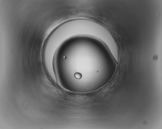 X0000112880292200909181855