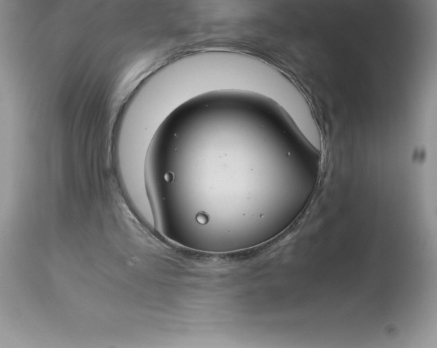 X0000112880293200909181855