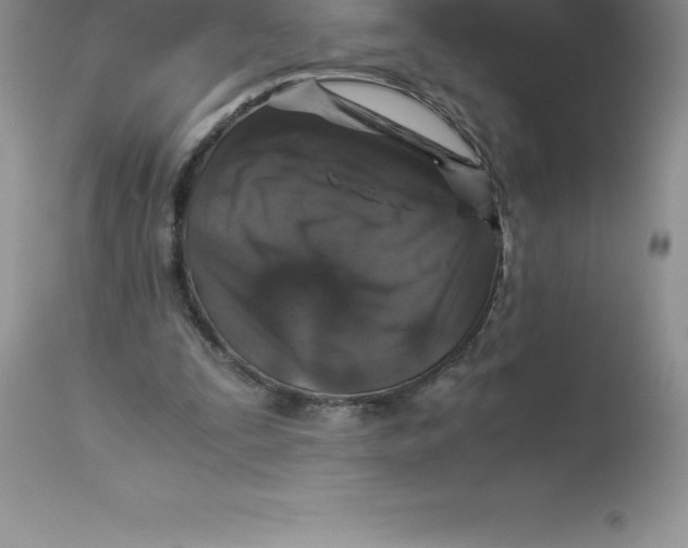 X0000112880295200909181855