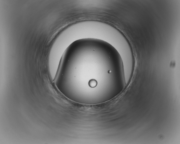 X0000112880297200909181855