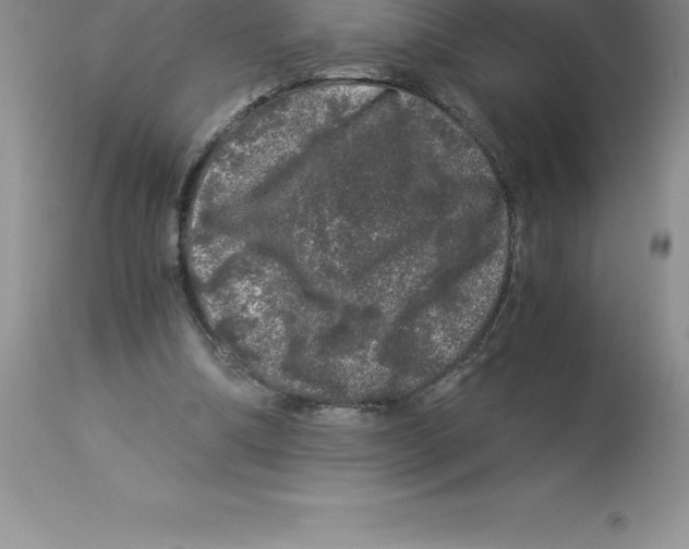 X0000112880298200909181855