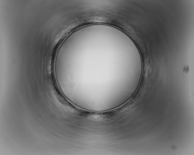 X0000112880299200909181855