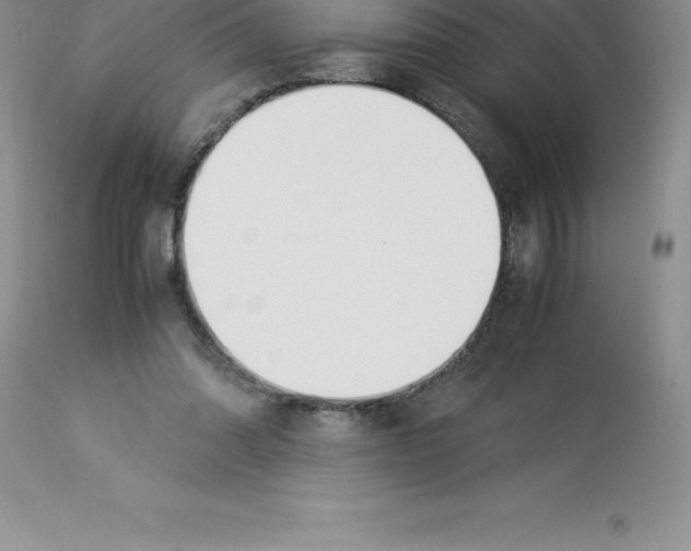 X0000112880302200909181855