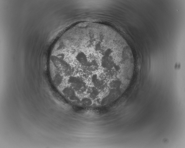 X0000112880303200909181854