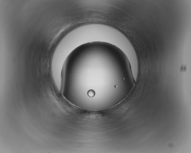 X0000112880304200909181854