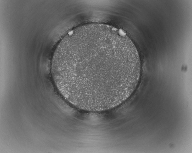 X0000112880305200909181854